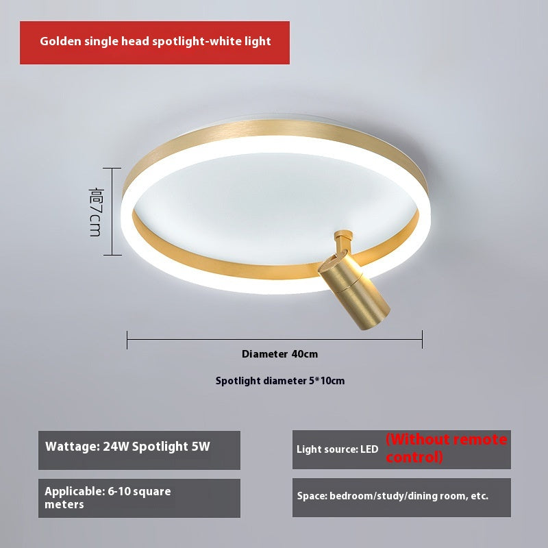 DuoTone Modern Ring Ceiling Light