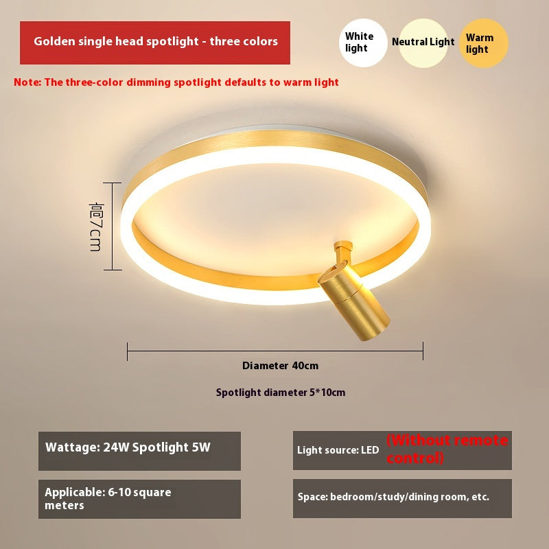 DuoTone Modern Ring Ceiling Light