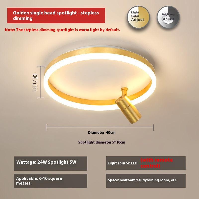 DuoTone Modern Ring Ceiling Light