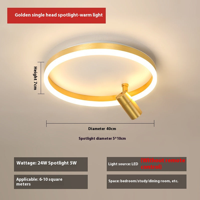DuoTone Modern Ring Ceiling Light