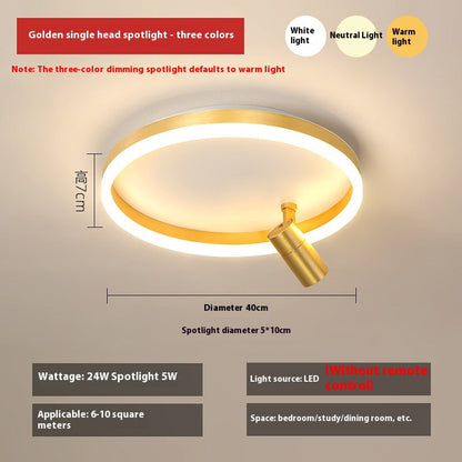 DuoTone Modern Ring Ceiling Light