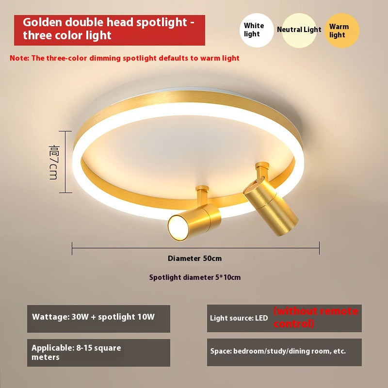 DuoTone Modern Ring Ceiling Light