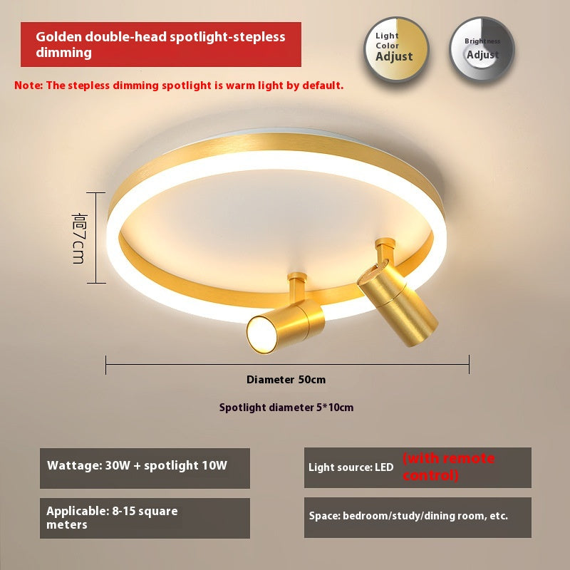 DuoTone Modern Ring Ceiling Light