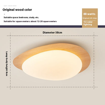 HarmonyZen Chinese Style LED Ceiling Light